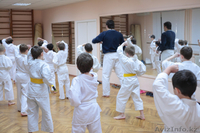 Академия Боевых Искусств (ММА, Греплинг, Джиу Джитсу, Иайдо, и др.) - Изображение #6, Объявление #1311547