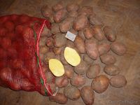 Доставка картофеля - Изображение #1, Объявление #1359910