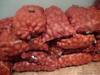 Доставка картофеля - Изображение #6, Объявление #1359910