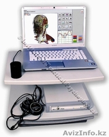 Диагностика аллергенов. - Изображение #1, Объявление #703646