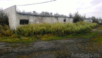 Продам здание птичника (База) - Изображение #2, Объявление #1491671