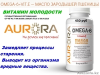 Открыт склад продукции компании Аврора в Караганде - Изображение #7, Объявление #1491458