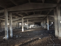 Продам здание птичника (База) - Изображение #4, Объявление #1491671