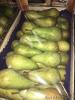 Продаю польские яблоки - Изображение #2, Объявление #1529881