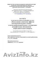 Знаменитая подушка "Асония" - Изображение #4, Объявление #1542432