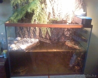 Срочно продаю террариум/аквариум - Изображение #3, Объявление #1589981