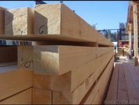 Тюменский лес - Изображение #1, Объявление #1629641