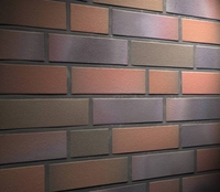 Продажа клинкерного облицовочного кирпича от УютСтройКараганда - Изображение #5, Объявление #1659405
