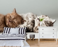 Фотообои обои на любой размер - Изображение #7, Объявление #1695086