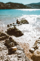 Пало Санто Шалфей Кристаллы Казахстан Караганда Астана - Изображение #7, Объявление #1725937