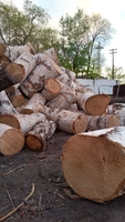 Продаём дрова в мешках  - Изображение #1, Объявление #1748893