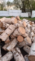 Продаём дрова в мешках  - Изображение #2, Объявление #1748893