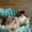 Персидские котята от лучшего перса Казахстана #106295