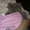 Котенок - перс, девочка, 2,5 месяца, серая. - Изображение #3, Объявление #488832
