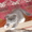 отдам в хорошие руки котенка девочку окрас-дымчатый с белыми лапками приучена к  - Изображение #2, Объявление #587090