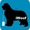 ньюфаундленда щенка продаю - Изображение #3, Объявление #841227