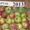 Яблоки зимние( Синап орловский и северный) - Изображение #4, Объявление #955296
