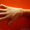 Рабочие перчатки х/б и х/б с пвх - Изображение #3, Объявление #1020584