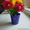 прикольные цветочки - Изображение #2, Объявление #1216522