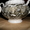Продам фаянсовый чайный сервис, Англия - Изображение #3, Объявление #1353504