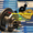 Картридж, ремкомплект турбины Mercedes Sprinter II 215CDI twin - Изображение #4, Объявление #1416500