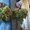 Саженцы винограда сортов Алёшенькин и Зилга - Изображение #3, Объявление #1401288