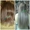 Наращивание волос на дому - Изображение #4, Объявление #405473
