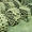 Гусеницы на тр. Т-4 А старого образца, ТТ-4 и ТТ-4 М (новые) - Изображение #3, Объявление #1595577