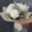 Доставка цветов по Караганде - Изображение #6, Объявление #1732512
