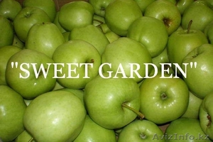 Наиболее хорошие яблоки из Польши - очень большой опт !!! - Изображение #2, Объявление #377411