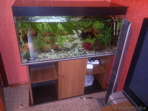 Продаю аквариум - Изображение #1, Объявление #630758