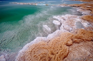 Грязь Мёртвого моря - Изображение #2, Объявление #698588