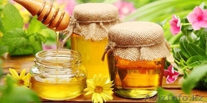 Продам натуральный Башкирский мед - Изображение #1, Объявление #806705