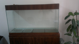 Продам аквариум + тумба - Изображение #1, Объявление #937433