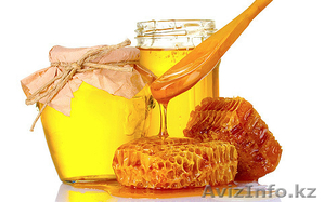 Продам мёд и продукты пчеловодства - Изображение #1, Объявление #943837