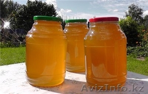 Продам натуральный Башкирский мед - Изображение #2, Объявление #806705