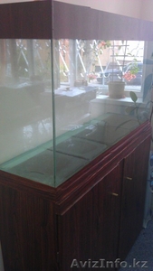 Продам аквариум + тумба - Изображение #4, Объявление #937433