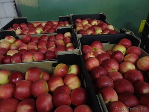 ALDA Sp.J Polska tel.+48 601 158 947