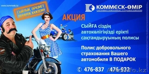 Реклама в Караганде и Темиртау! - Изображение #5, Объявление #1054556