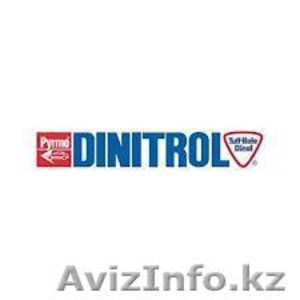 Dinitrol - автохимия и антикор автомобилей в караганде! - Изображение #1, Объявление #1093900