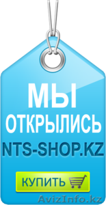 NTS-Shop Автомобильные сигнализации, парктроники, шумоизация - Изображение #1, Объявление #1093891