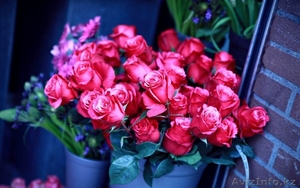 Голландские розы в Караганде с доставкой за 60 минут - Изображение #1, Объявление #1213068