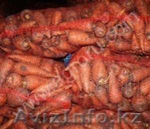 Морковь оптом (лом) 