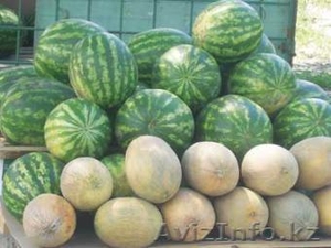 Арбузы оптом 27 тенге