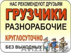 Услуги грузчиков. Переезды, загрузка и выгрузка вагонов и фургонов.  - Изображение #1, Объявление #1348711