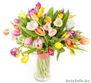 Тюльпаны оптом и в розницу - Изображение #3, Объявление #1368245