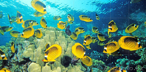 Фотокафель Кокшетау