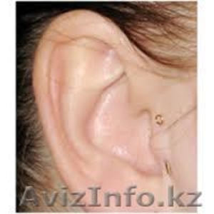 Сбросить вес, новая фигура.