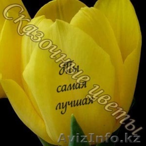 Продам Наклейки для цветов и подарочных аксессуаров! - Изображение #2, Объявление #180573