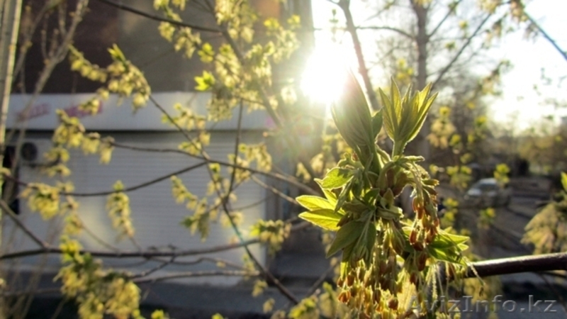 Продаю Canon sx210 IS срочно! - Изображение #3, Объявление #278659